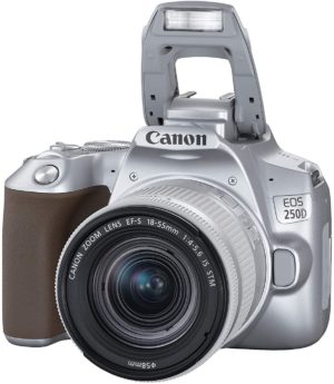 Canon EOS 250D - Cámara digital (24,1 MP, 6000 x 4000 Pixeles, CMOS, 4K Ultra HD, pantalla táctil) plata - kit con cuerpo y EF-S 18-55IS STM